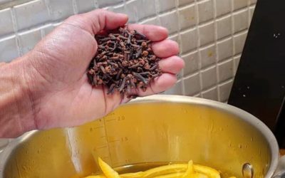 Why You Should Boil Orange Peels with Cloves: 7 Reasons