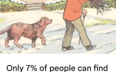 Can You Spot the Mistake in This Snowy Scene Find Out The Answer In The Comments