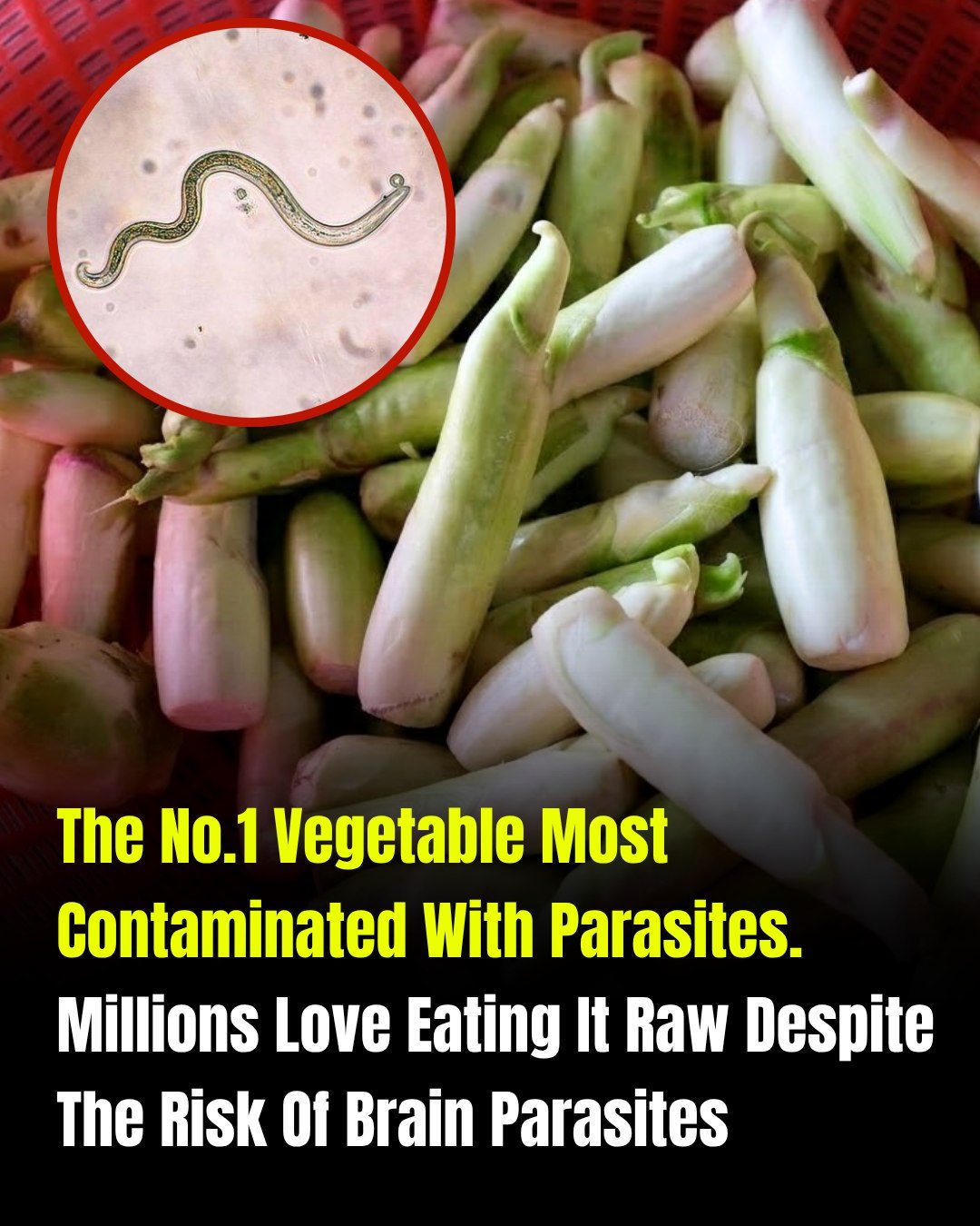 The Vegetable Most Likely To Carry Parasites Is Also One Many People Love Eating Raw