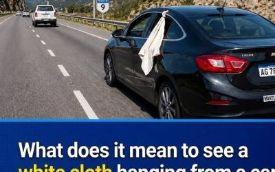 White cloth hanging from a car window: what does this informal road sign mean?