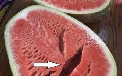 Watermelon Cracks Inside